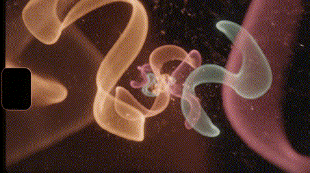 Early access to your AI clone